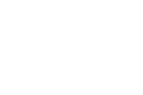 一種追求完美的態度