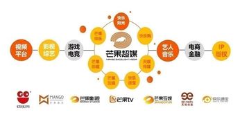 芒果超媒上半年業績飆升 扣非凈利勁增74倍，會員與廣告業務雙翼齊飛
